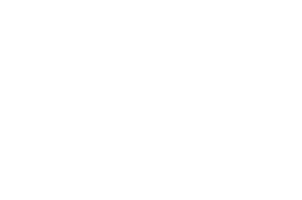 Zolia-Air-Normous-Logo